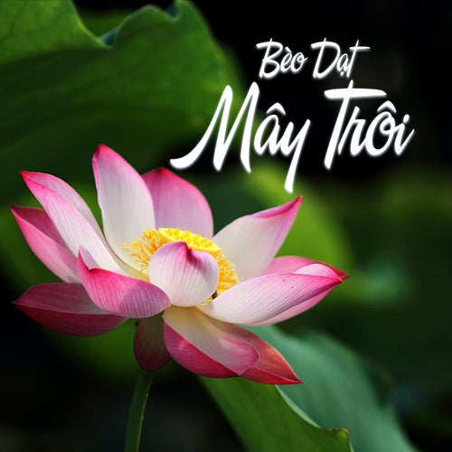 Bèo Dạt Mây Trôi (Beat)