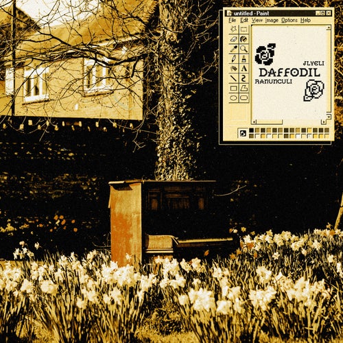 Daffodil