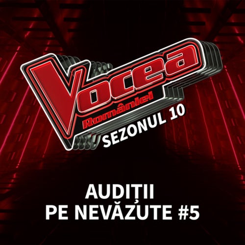 Vocea României: Audiții pe nevăzute #5 (Sezonul 10)