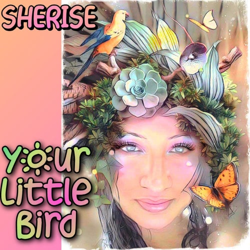 Your Little Bird