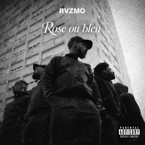 Release of the week