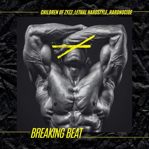 Breaking Beat (Hardstyle)