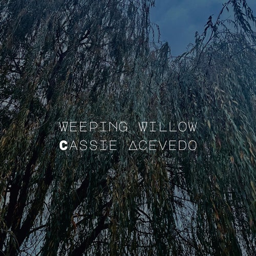 Weeping Willow