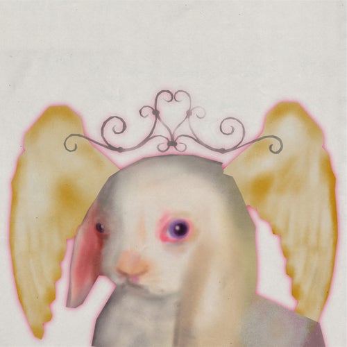 Clammy