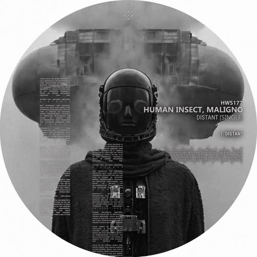 Release of the week