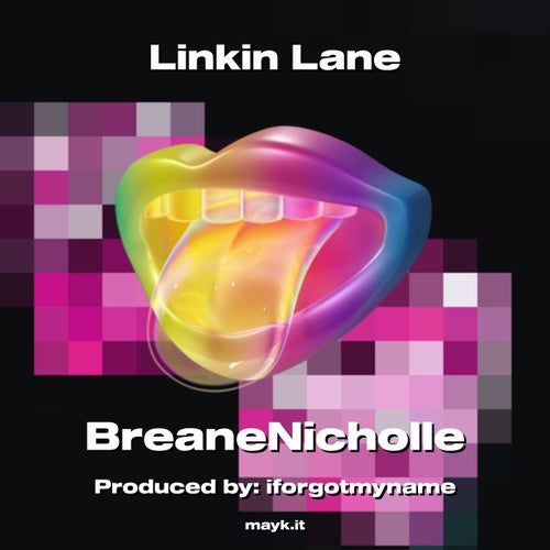Linkin Lane