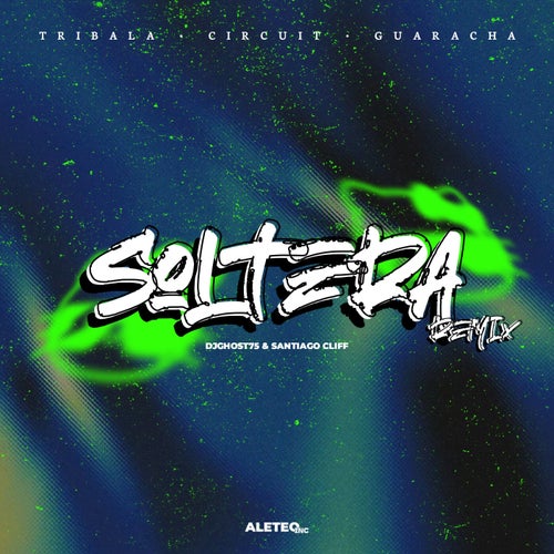 Soltera (Remix)