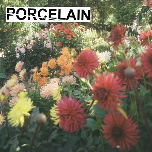 Release of the week
