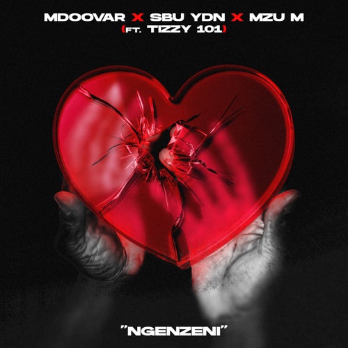 Ngenzeni (feat. Tizzy 101)