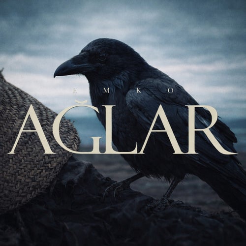 Ağlar