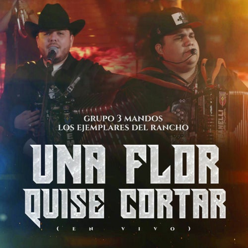 Una Flor Quise Cortar (En Vivo)