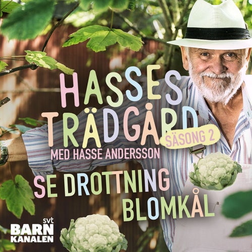 Drottning Blomkål