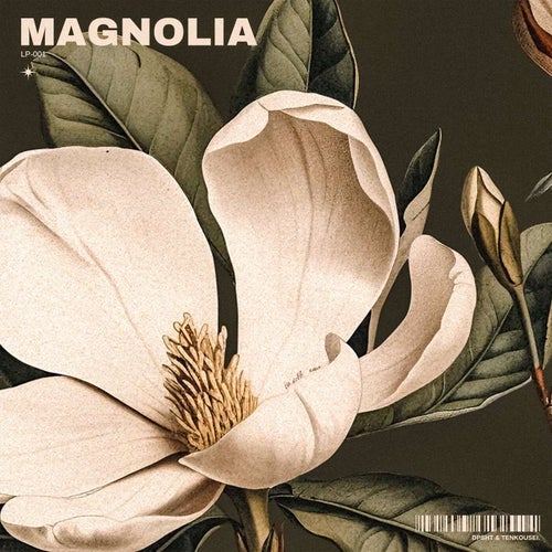 Magnolia, Pt. 1