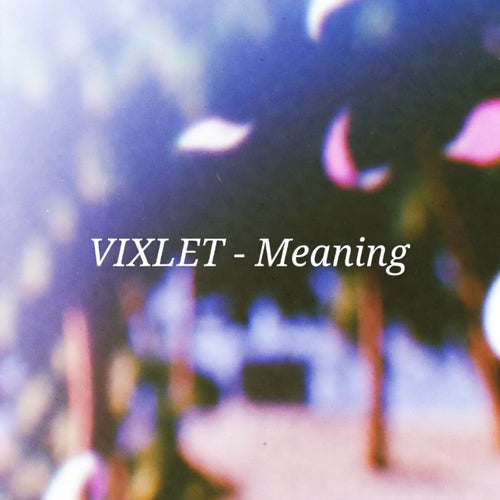 Meaning