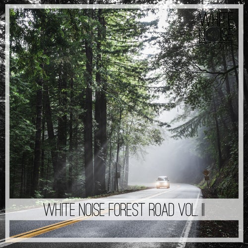 White Noise Forest Road, Vol. 2