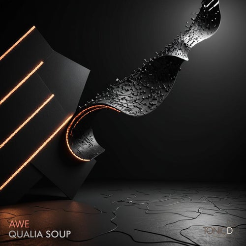 Qualia Soup