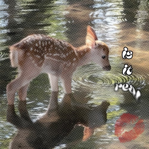 is it real