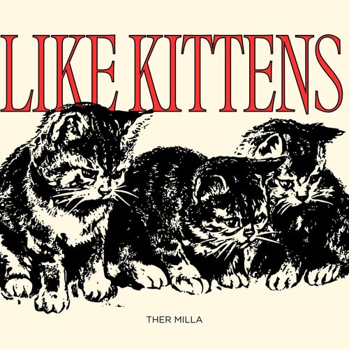 Like Kittens
