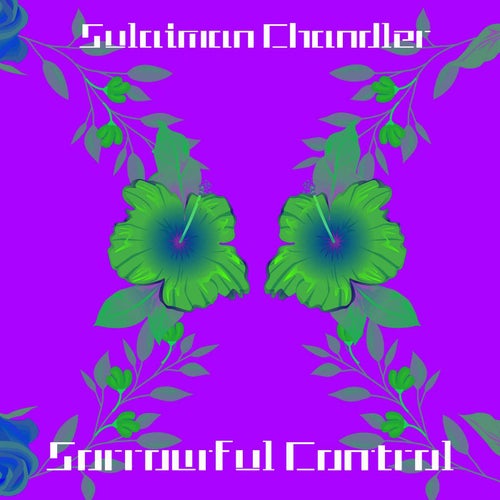 Sorrowful Control