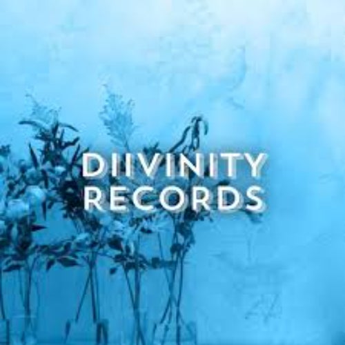 DIIVINITY SOUND LLC Profile