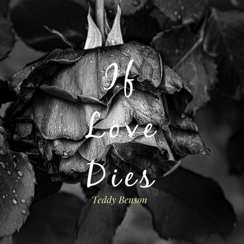 If Love Dies