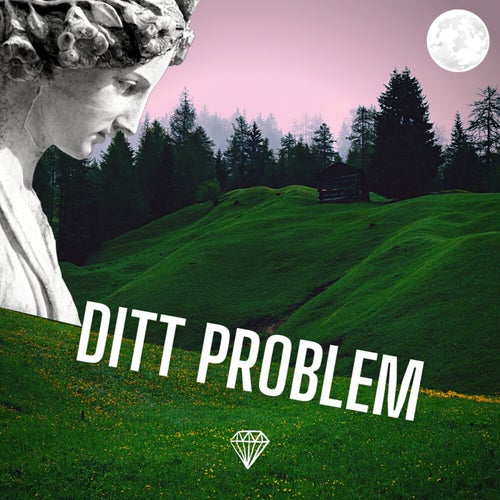 Ditt Problem