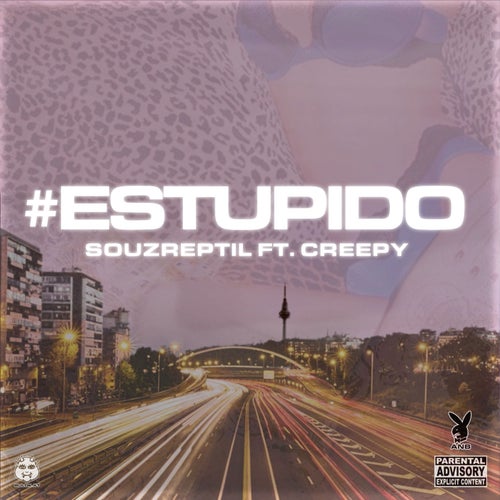 #ESTUPIDO