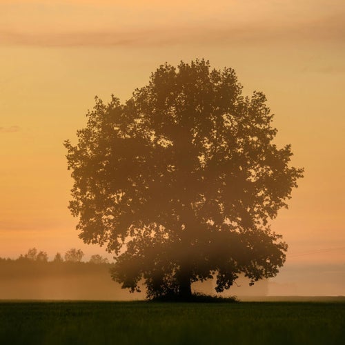 relax chillout lofi music for calm days