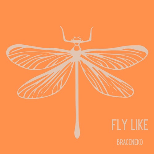 Fly Like