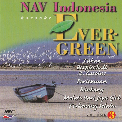 Nav Evergreen, Vol. 3