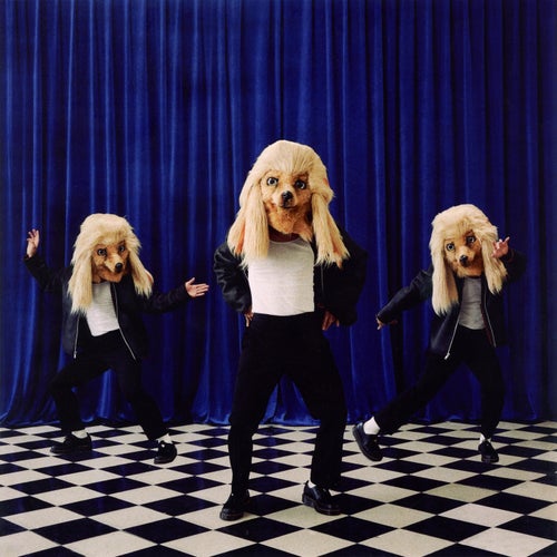 Mr. Big Dog, Please Press Play