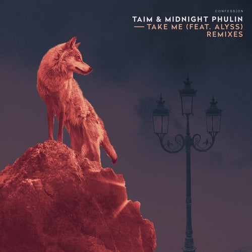 Take Me (Remixes)