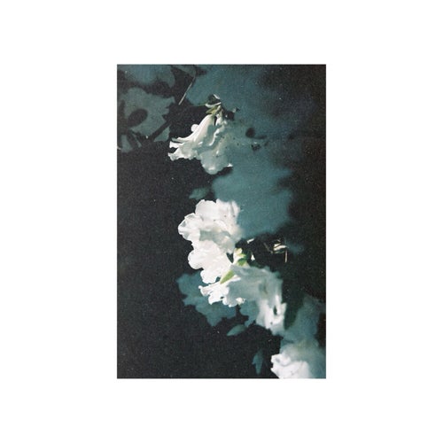Innature
