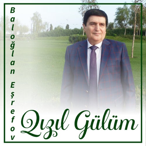Qızıl Gülüm