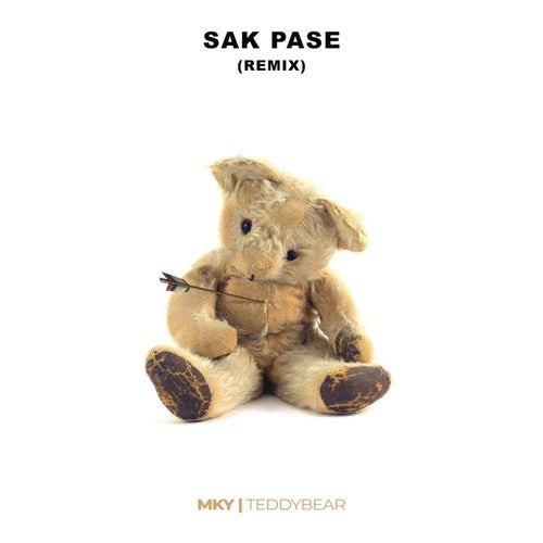 Teddy Bear (Remix) [feat. SAK PASE]