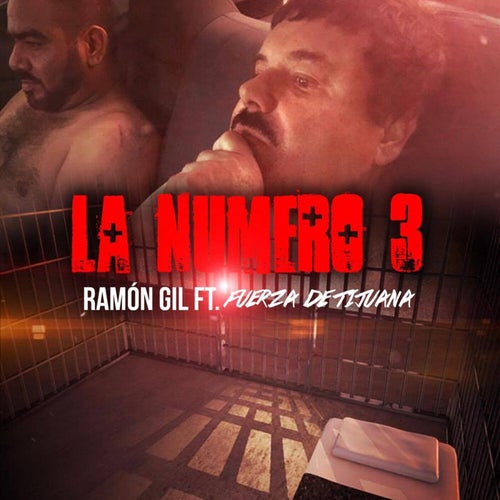 La Numero 3