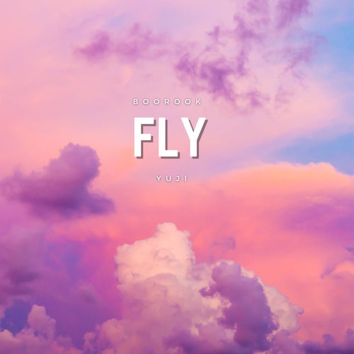 Fly