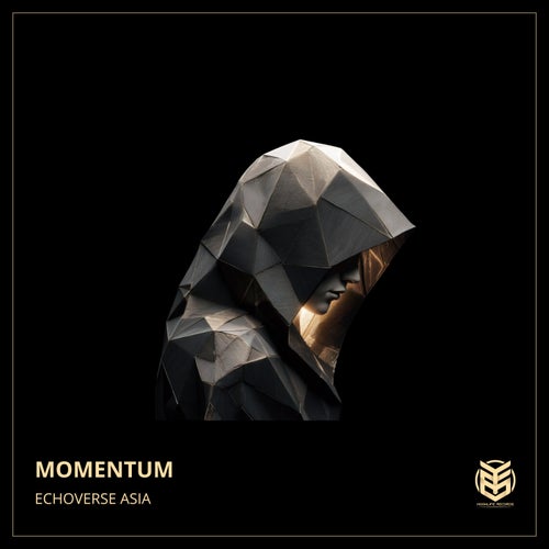 Momentum
