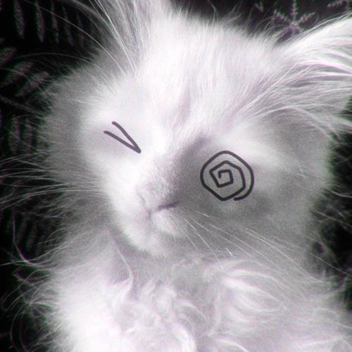 v ø i d