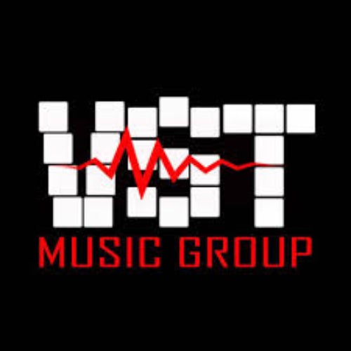 VST Music Group Profile