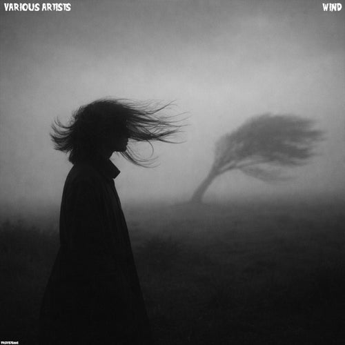 Wind