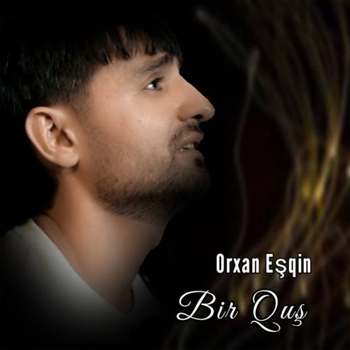 Bir Quş