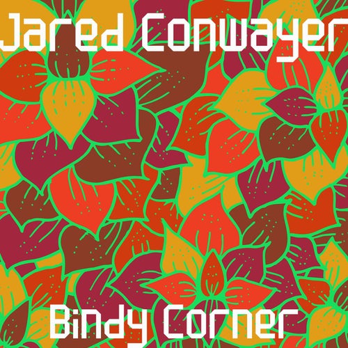 Bindy Corner