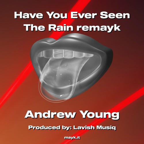 Have You Ever Seen The Rain remayk