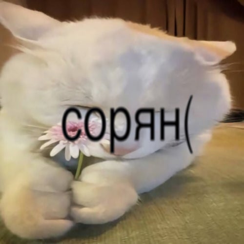 sorry