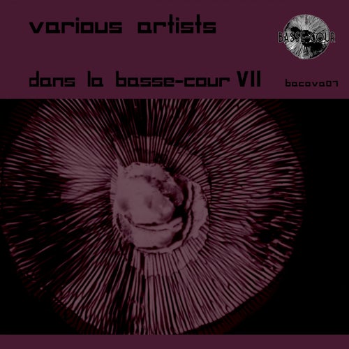 Dans la Basse-cour VII