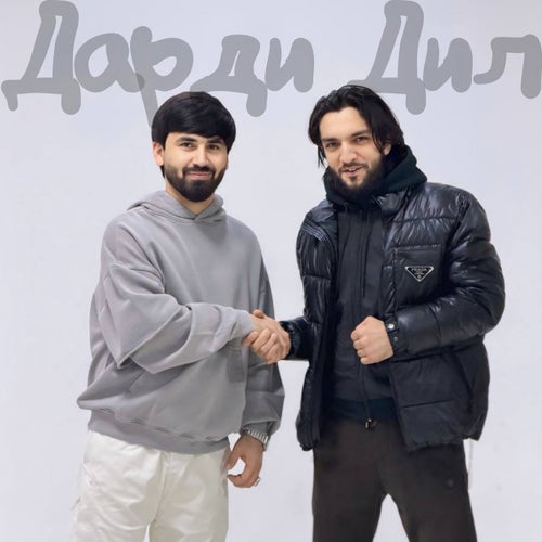 Дарди дил