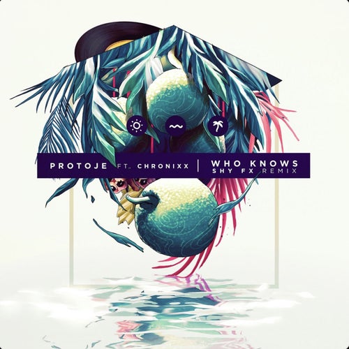 Who Knows (feat. Chronixx) [SHY FX Remix]