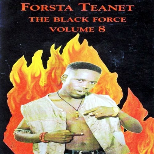 Vol. 8