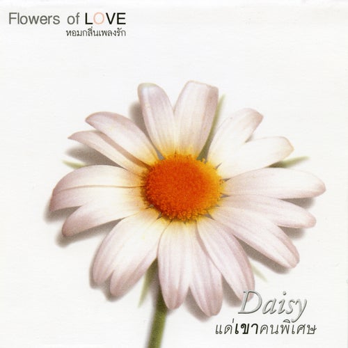 FLOWERS 3 Daisy แด่เขาคนพิเศษ